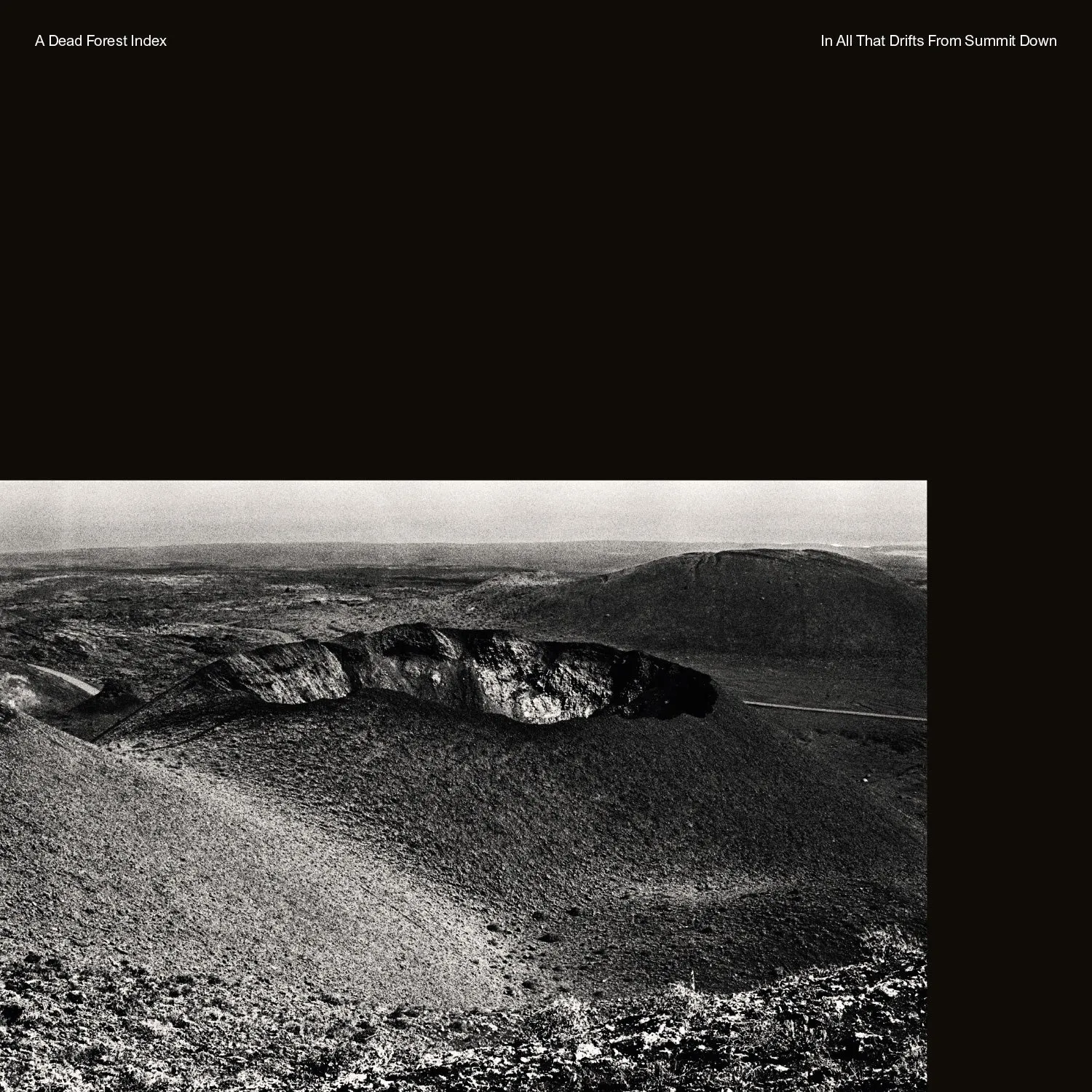 A Dead Forest Index | In All That Drifts From Summit Down | CD