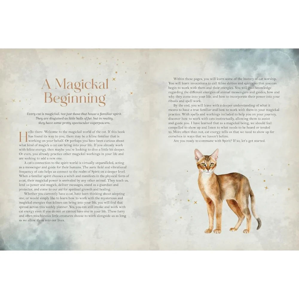 Rock Point Cat Magick Undated Planner
